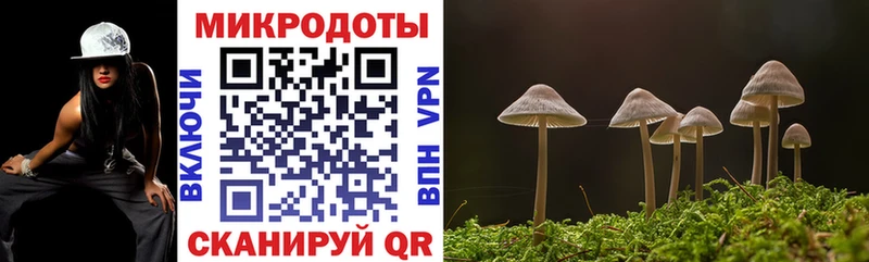 маркетплейс наркотические препараты  Мещовск  Псилоцибиновые грибы Psilocybine cubensis 